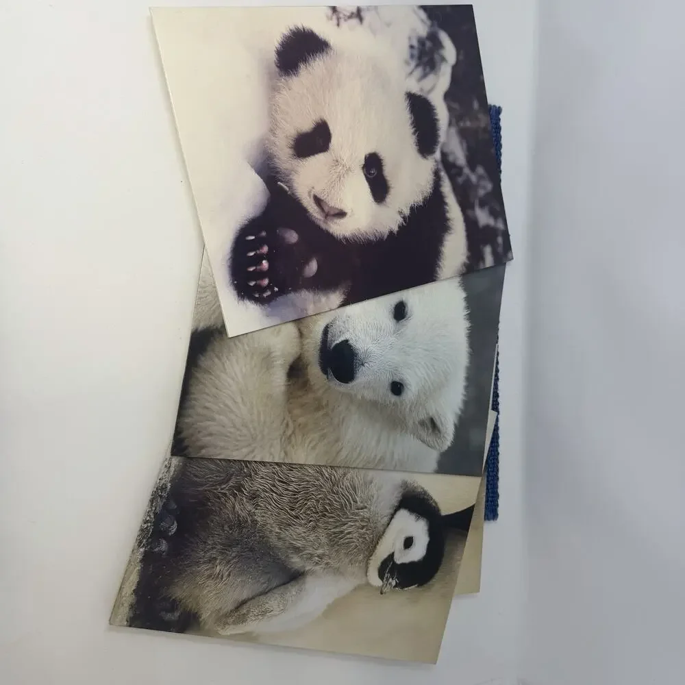 4 Vintage 80's MEAD Zoo Portfolio Pocket Folders Baby Animals LOT Retro Cute